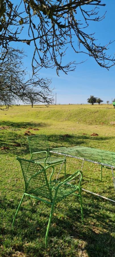 Green Thumb Farm Stay Ermelo Esterno foto